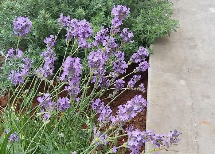 Apartman Mirjam Porec