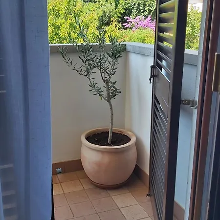 Mirjam Apartamento